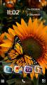 : Golden Butterfly by Kallol v5 (20.1 Kb)