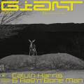 :  - Calvin Harris & Rag'n'Bone Man - Giant (19.8 Kb)