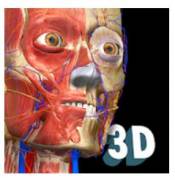 :  Android OS - Anatomy Learning - 3D   2.1.425 (13.4 Kb)
